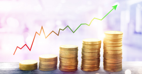 Why Professional Investment Management Matters